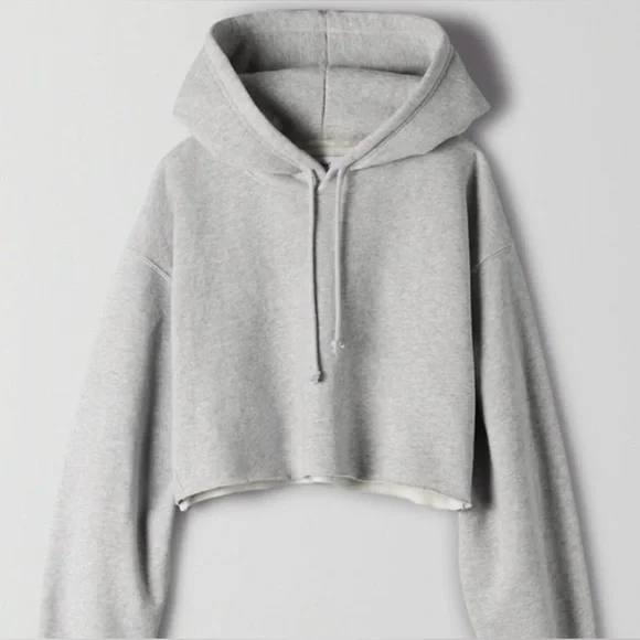 ARITZIA TNA Cozy Fleece Boyfriend Cropped Hoodie, Light Grey